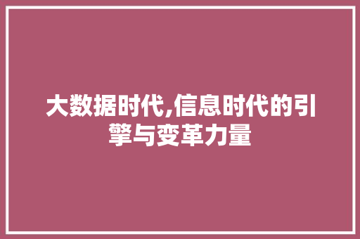 大数据时代,信息时代的引擎与变革力量
