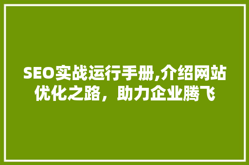 SEO实战运行手册,介绍网站优化之路，助力企业腾飞