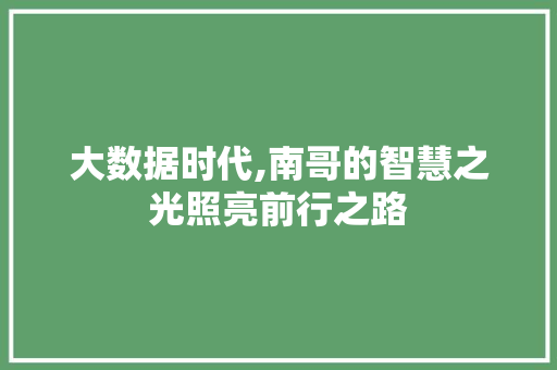 大数据时代,南哥的智慧之光照亮前行之路 市场营销范文