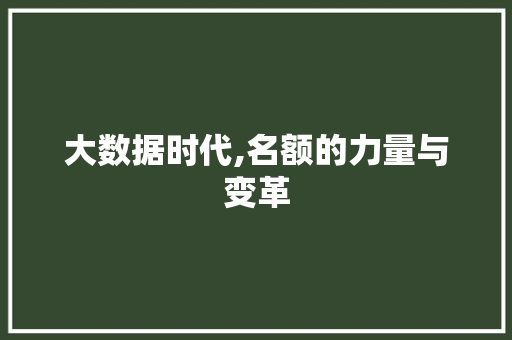 大数据时代,名额的力量与变革