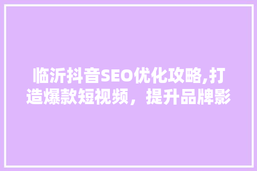 临沂抖音SEO优化攻略,打造爆款短视频，提升品牌影响力