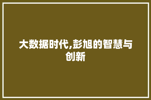 大数据时代,彭旭的智慧与创新 项目报告