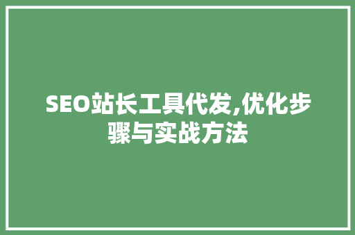 SEO站长工具代发,优化步骤与实战方法