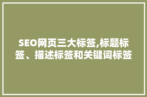 SEO网页三大标签,标题标签、描述标签和关键词标签的重要性及应用