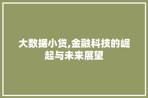 大数据小贷,金融科技的崛起与未来展望 缓存Redis