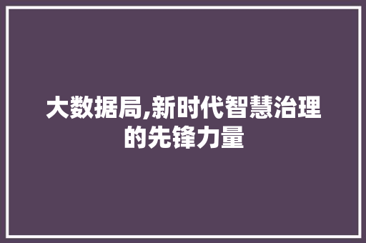 大数据局,新时代智慧治理的先锋力量