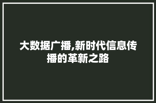 大数据广播,新时代信息传播的革新之路 响应式设计