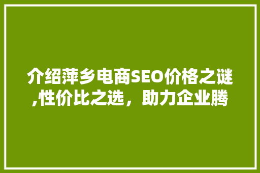 介绍萍乡电商SEO价格之谜,性价比之选，助力企业腾飞