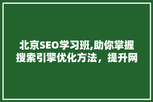 北京SEO学习班,助你掌握搜索引擎优化方法，提升网站排名