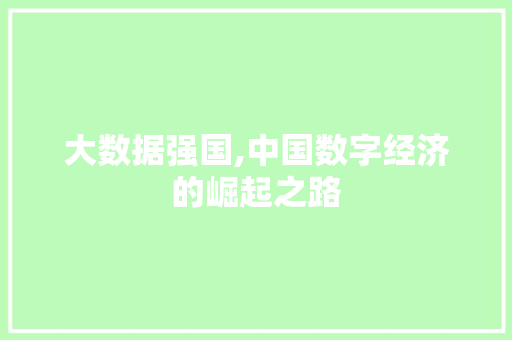 大数据强国,中国数字经济的崛起之路 MySQL