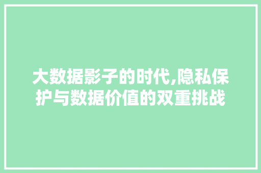 大数据影子的时代,隐私保护与数据价值的双重挑战 响应式设计
