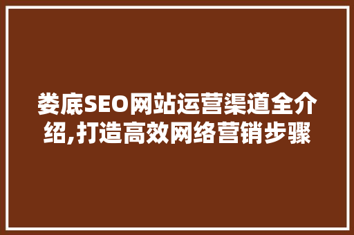 娄底SEO网站运营渠道全介绍,打造高效网络营销步骤