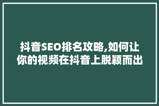 抖音SEO排名攻略,如何让你的视频在抖音上脱颖而出