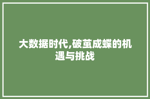 大数据时代,破茧成蝶的机遇与挑战 市场营销范文