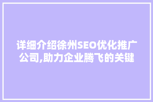 详细介绍徐州SEO优化推广公司,助力企业腾飞的关键因素