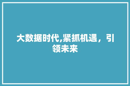 大数据时代,紧抓机遇，引领未来 后端技术