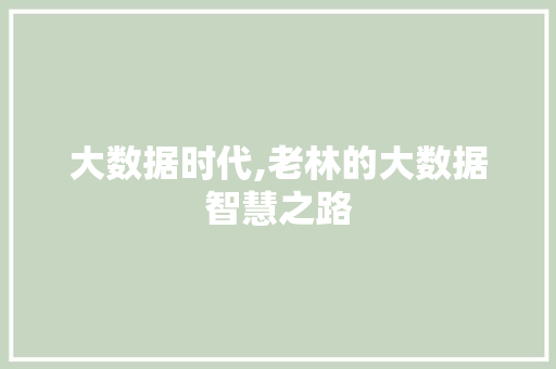 大数据时代,老林的大数据智慧之路 前端技术