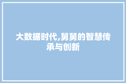 大数据时代,舅舅的智慧传承与创新 网站建设