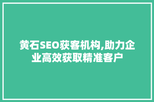 黄石SEO获客机构,助力企业高效获取精准客户