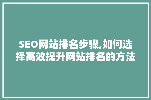 SEO网站排名步骤,如何选择高效提升网站排名的方法