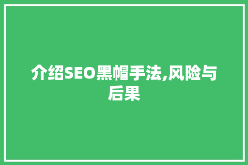 介绍SEO黑帽手法,风险与后果