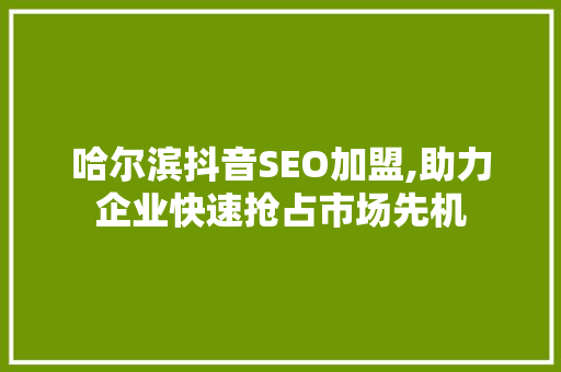 哈尔滨抖音SEO加盟,助力企业快速抢占市场先机