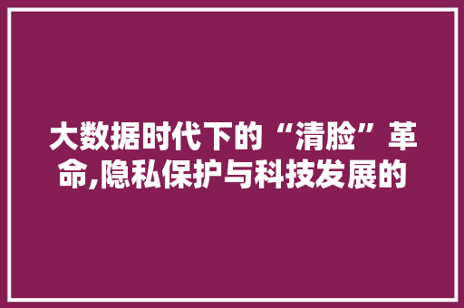大数据时代下的“清脸”革命,隐私保护与科技发展的双刃剑