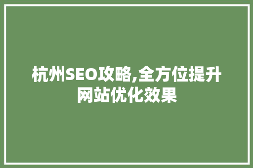 杭州SEO攻略,全方位提升网站优化效果