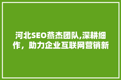 河北SEO燕杰团队,深耕细作，助力企业互联网营销新篇章