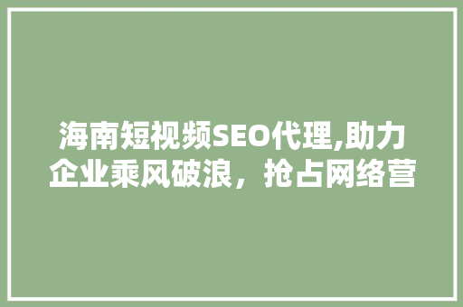 海南短视频SEO代理,助力企业乘风破浪，抢占网络营销制高点
