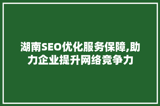 湖南SEO优化服务保障,助力企业提升网络竞争力 MySQL