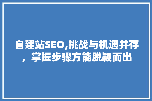 自建站SEO,挑战与机遇并存，掌握步骤方能脱颖而出