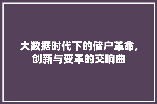大数据时代下的储户革命,创新与变革的交响曲 市场营销范文