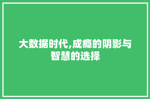 大数据时代,成瘾的阴影与智慧的选择 网站建设