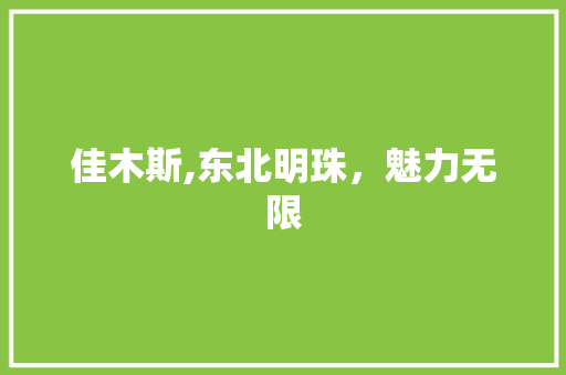 佳木斯,东北明珠，魅力无限