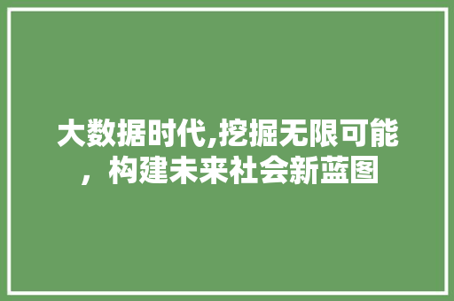 大数据时代,挖掘无限可能，构建未来社会新蓝图