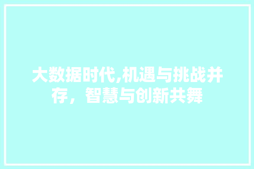 大数据时代,机遇与挑战并存，智慧与创新共舞 前端技术