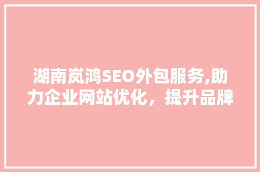 湖南岚鸿SEO外包服务,助力企业网站优化，提升品牌影响力