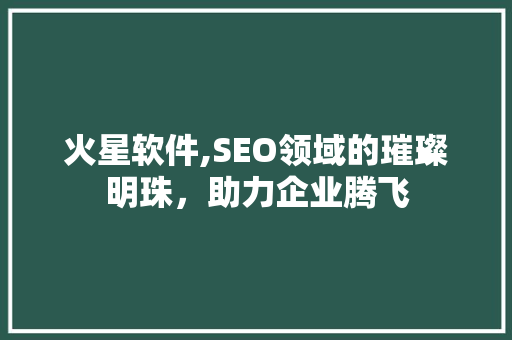 火星软件,SEO领域的璀璨明珠，助力企业腾飞