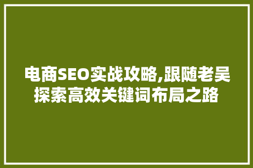 电商SEO实战攻略,跟随老吴探索高效关键词布局之路