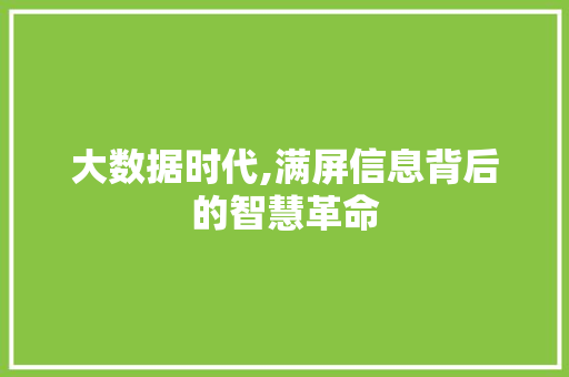 大数据时代,满屏信息背后的智慧革命 网站建设