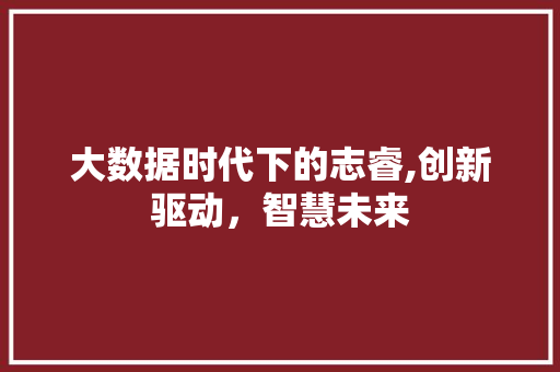 大数据时代下的志睿,创新驱动，智慧未来 网站建设