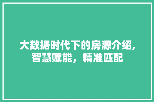 大数据时代下的房源介绍,智慧赋能，精准匹配