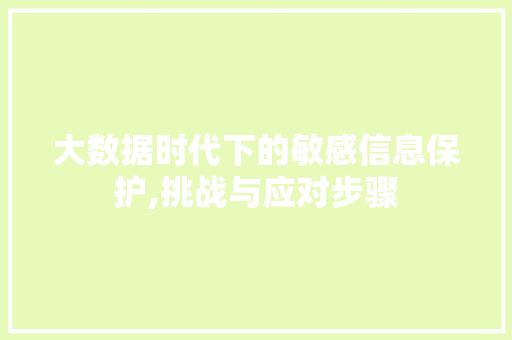 大数据时代下的敏感信息保护,挑战与应对步骤