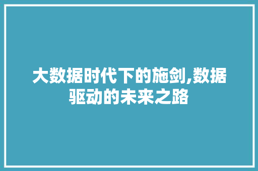 大数据时代下的施剑,数据驱动的未来之路 商务信函