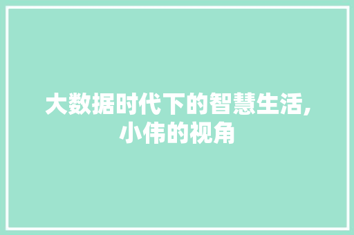 大数据时代下的智慧生活,小伟的视角