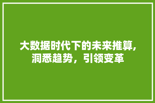 大数据时代下的未来推算,洞悉趋势，引领变革
