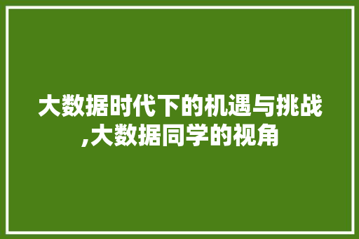 大数据时代下的机遇与挑战,大数据同学的视角