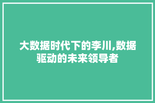 大数据时代下的李川,数据驱动的未来领导者 网站建设