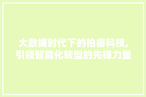 大数据时代下的柏睿科技,引领智能化转型的先锋力量 网站建设